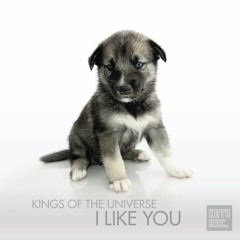 Kings Of The Universe - I Like You (Original Mix)