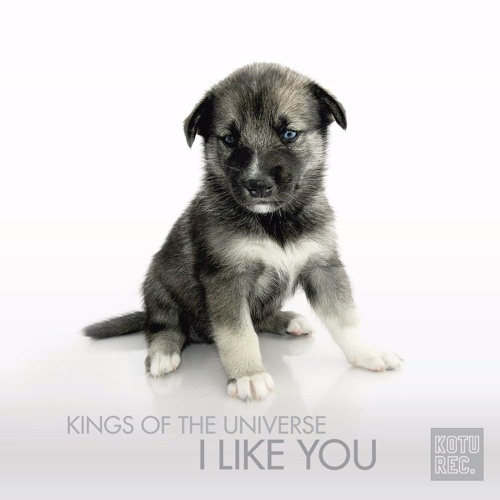Kings Of The Universe - I Like You (Original Mix)