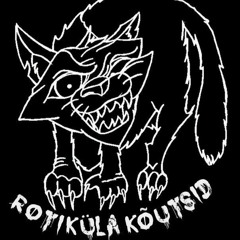 Rotiküla Kõutsid - Mitte täna