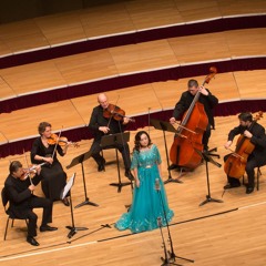Wang Xin China Tour Concert