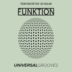 Pedro Walter feat Lee Haslam - Funktion