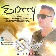 SORRY (COVER) - DLS x JERRINO BASS