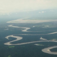 Fractal Brain - Concrète Clave MtnWiewMark - Bits[Disquiet0216]