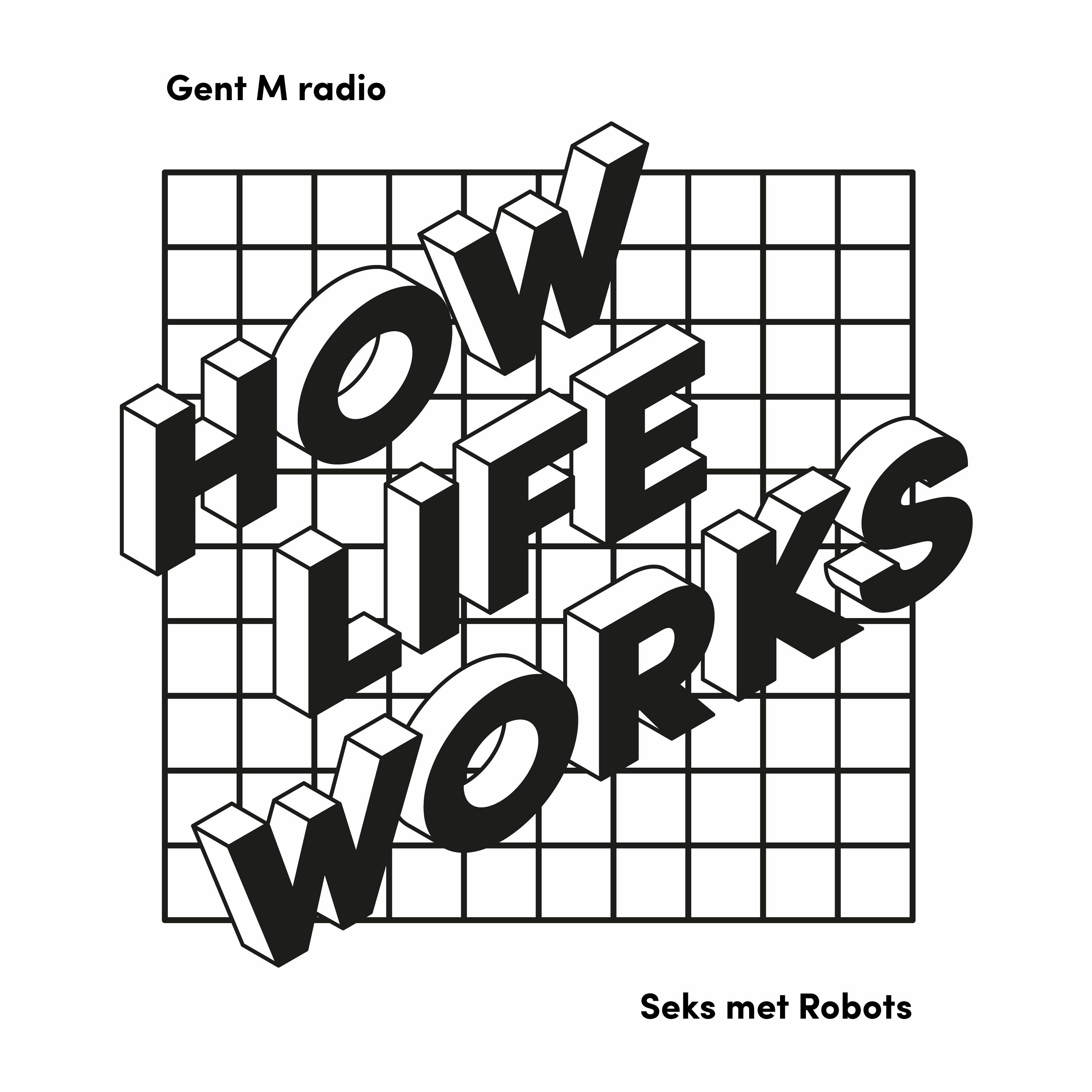 Seks met Robots.