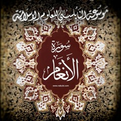 AL - Anam29  تفسير سورة الأنعام  الدرس (29- 73 ) : تفسير الآيات 83 - 88 ، قصص الأنبياء دروس لنا