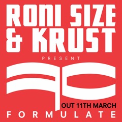 Formulate EP - Roni Size & Krust