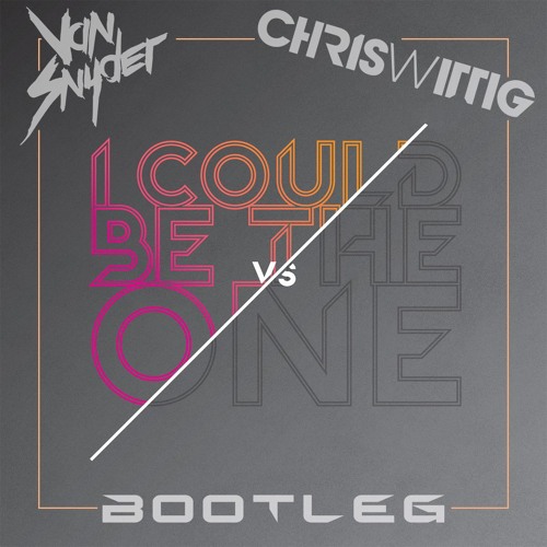 Van Snyder & Chris Wittig - I Could Be The One (Bootleg Mix Edit)