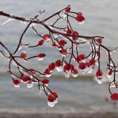 Tanz Durch Den Januar