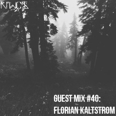 Guest Mix 40: Florian Kåltstrøm