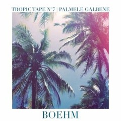 Tropic Tape N°7 | Palmele Galbene by Boehm