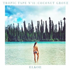 Tropic Tape N°11 | Coconut Grove by Elkoe