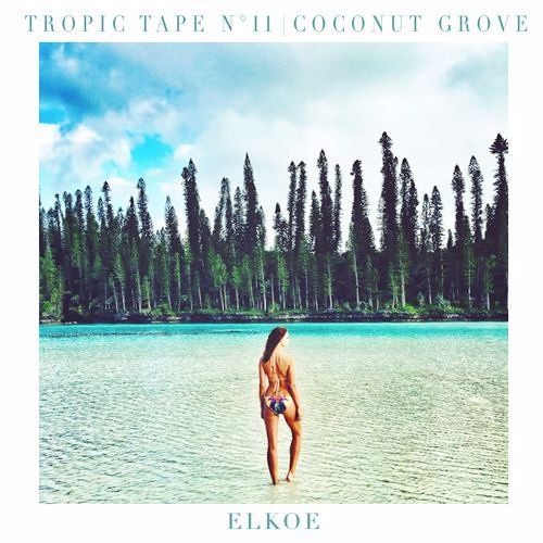 Tropic Tape N°11 | Coconut Grove by Elkoe