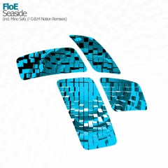 FloE - Seaside (O.B.M Notion Emotional Remix) @ Paul Van Dyk Vonyc Sessions 495
