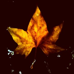 Transition