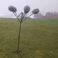 Vent d'ouest en 3D et en rafales