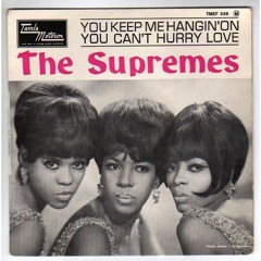 The Supremes - You Keep Me Hangin' On (Acoustic Cover) with A Sad Shaman