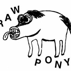 Raw Pony - Shattered