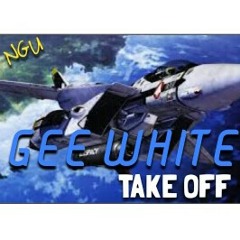 GEEWHITE - TAKEOFF 2016(gsikprod/preview)