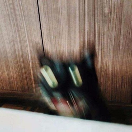 Noisia Radio S02E06 Ivy Labs Guest Mix - untitled - untitled [DUB](rip)