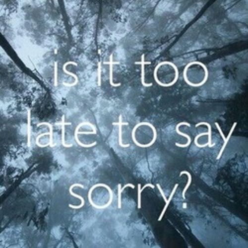 Apologize x Sorry