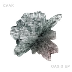 caak - chasing ghosts