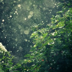 Rain and Thunder (Mystery and Wonder)