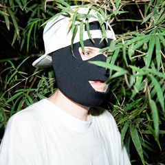 Download: Born In Flamez & Modeselektor -TBF