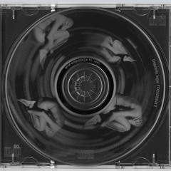 El Mono Y La Lagartija