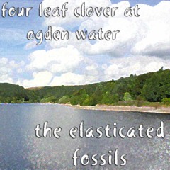 Four Leaf Clover At Ogden Water