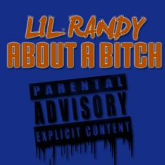 About A Bitch ( Prod. By Drum Dummie )