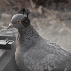 DJ mr.T   - DARK AND BASS