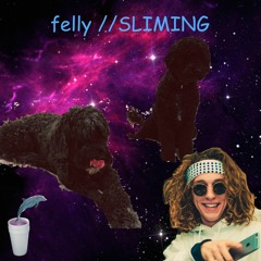 Felly - SLIMING (7th KING TOUR tickets on SALE NOW)