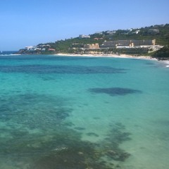 Cant Help Falling In Love (Cover)