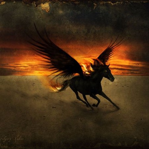 Lose My Dark Horse  (Triocttek Mashup)