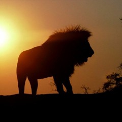 Rastaman Chant