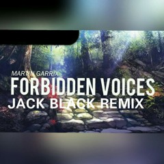 Martin Garrix Forbidden voices (Jack Black Remix)