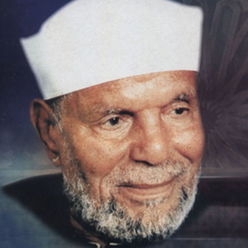 سورة فصلت الجزء الثاني || تفسير محمد متولي الشعراوي