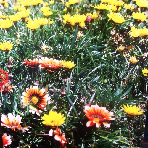 The Unmanifested Consciousness Being Bliss Awareness (Daisuke Tanabe Remix)