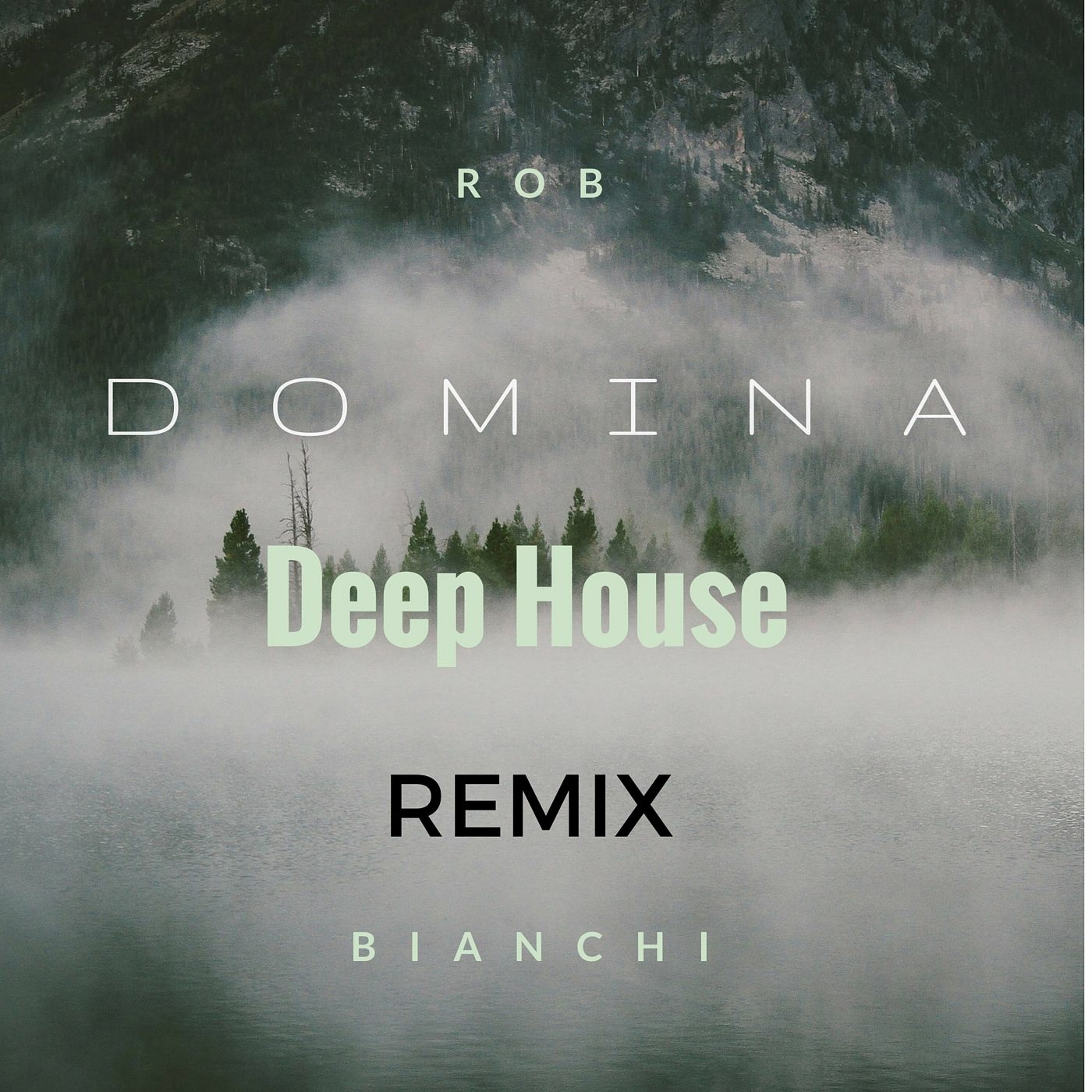DOMINA ( DeepHouse Remix ) episode artwork