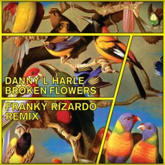 Danny L Harle - Broken Flowers (Franky Rizardo Remix)