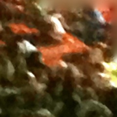 The Sometimes Attractive Eject Button