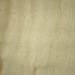 The Wind Gets In The Wires Disquiet0216 - Thinlayers