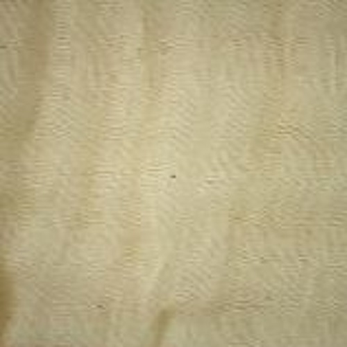 The Wind Gets In The Wires Disquiet0216 - Thinlayers