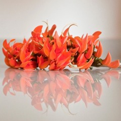 আমায় গেঁথে দাওনা মাগো একটা পলাশ ফুলের মালা