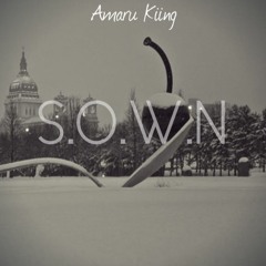 S.O.W.N (Started Out With Nothing)
