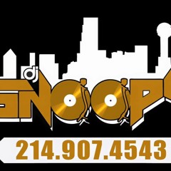 PARTY COUNTRY MIX - DJ SNOOPY