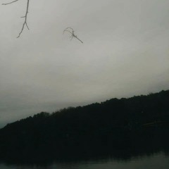 Double Cups x White Owl Blunts