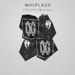 X&G - Whiplash feat. josh pan (Freeroam Remix)