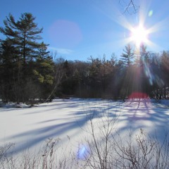 Her Song (Interlude)