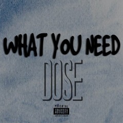 What You Need - Explicit (Prod. By Souler)